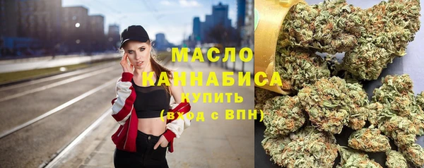 амф Краснослободск