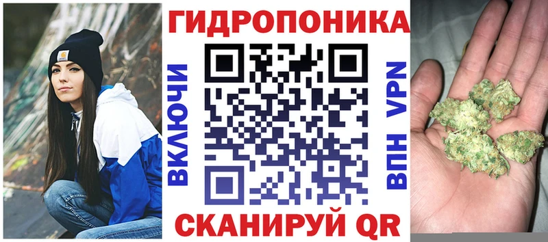 Купить закладки  Киренск  Каннабис SATIVA & INDICA 